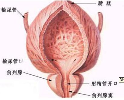 1543454434119413.jpg 6.jpg