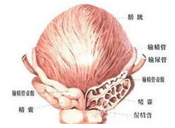 1577930477377689.png 1-1Z53015425H55.png