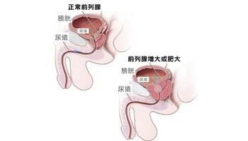 1615343640131074.jpg 8.jpg