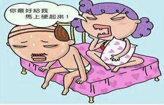 1618211027782274.jpg 454433.jpg