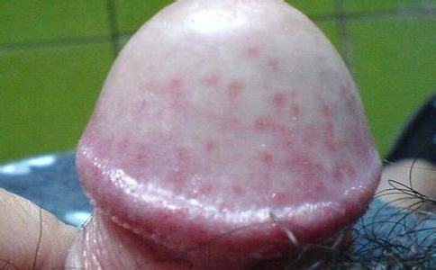 1618384574753830.jpg 8-161101144019262.jpg