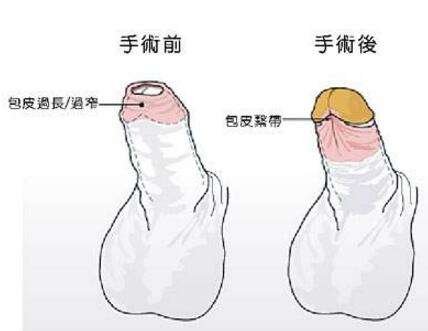 1623049128716220.jpg 21.jpg