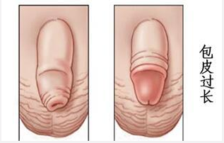 1626160944754088.png 769-1P322155J3P7.png