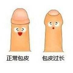 1628752192356862.jpg 53.jpg