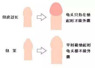 1630896277101576.jpg 56+56.jpg